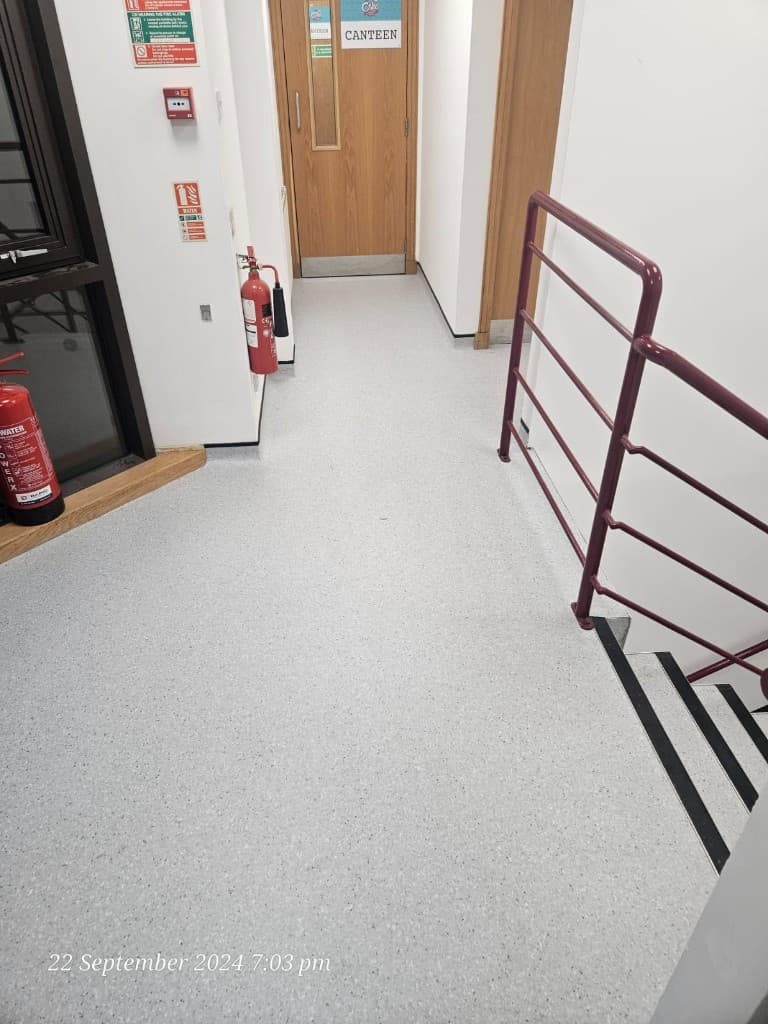 Precision mitered border and feature strip detailing — Parfait Flooring, Glasgow